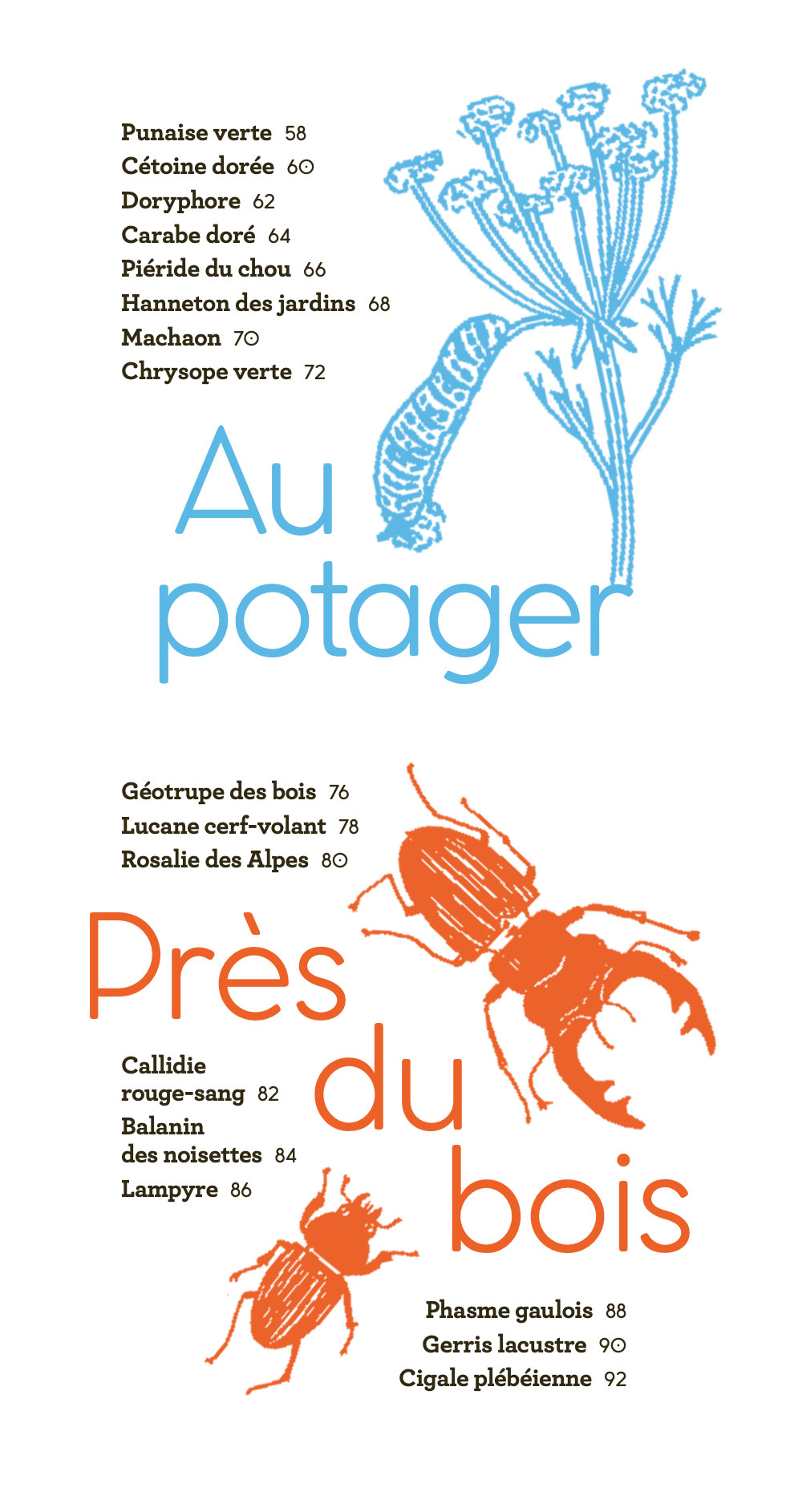 Albums Documentaires - Insectes autour de nous - French Children's Book | Ages 7-10 (CE1-CM1) - Will et Max Books
