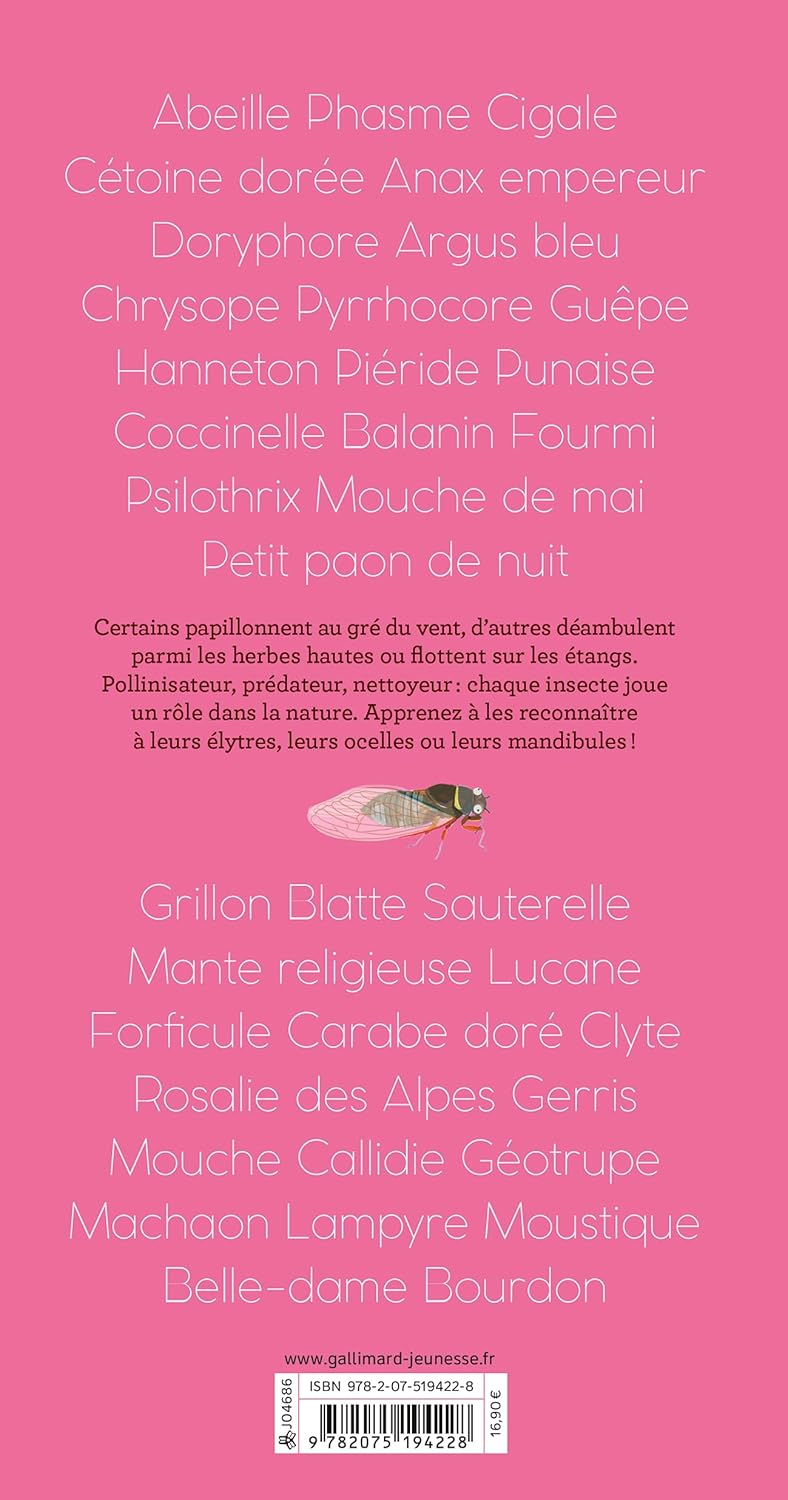 Albums Documentaires - Insectes autour de nous - French Children's Book | Ages 7-10 (CE1-CM1) - Will et Max Books